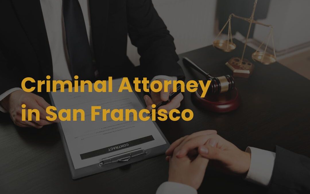 Criminal Attorney in San Francisco Hallinan Law Firm